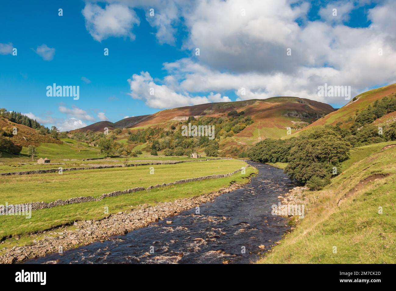 Automne dans la haute Swaledale Banque D'Images