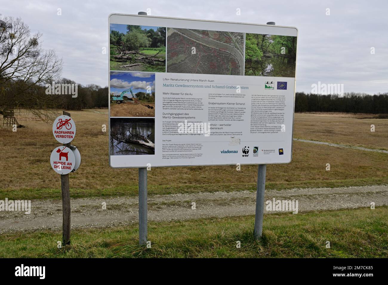 Basse-Autriche, Autriche. Réserve naturelle de Marchauen dans la plaine inondable de la Mars. Panneau d'information dans le parc naturel Banque D'Images