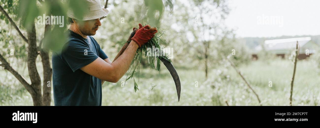 faucher l'herbe traditionnelle à l'ancienne avec des scythe à la main sur la ferme du village. jeune agriculteur mature, homme aiguisant le scythe avec de l'herbe ou du whetsto Banque D'Images