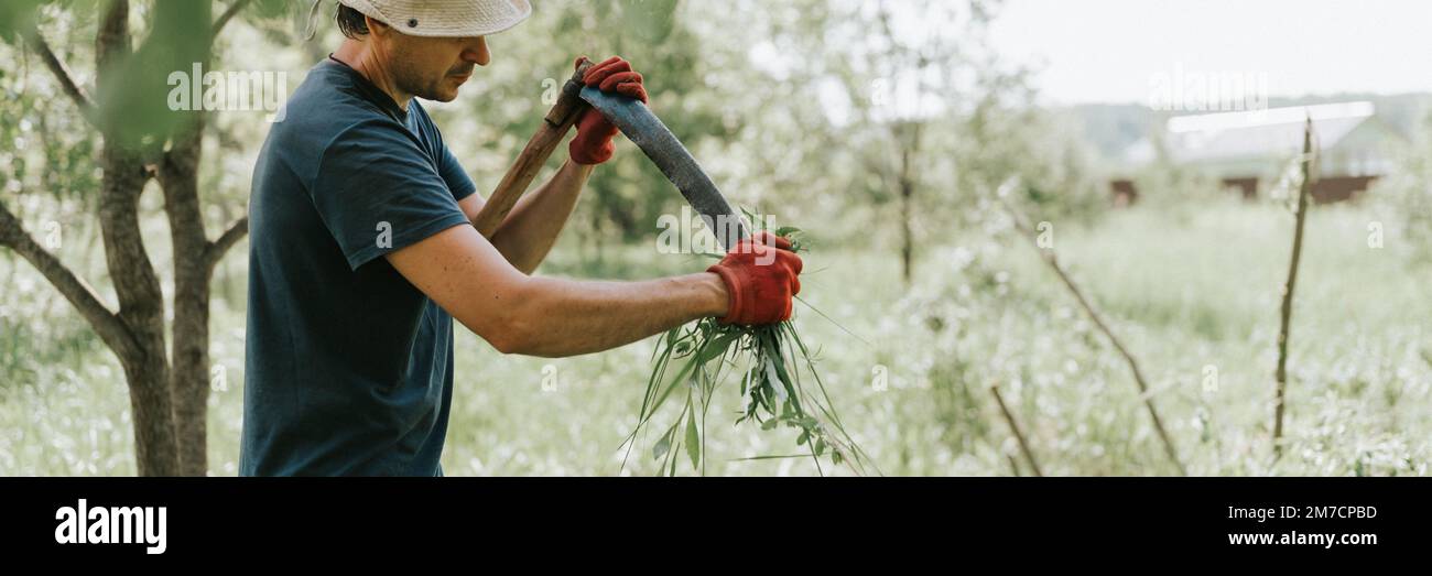 faucher l'herbe traditionnelle à l'ancienne avec des scythe à la main sur la ferme du village. jeune agriculteur mature, homme aiguisant le scythe avec de l'herbe ou du whetsto Banque D'Images