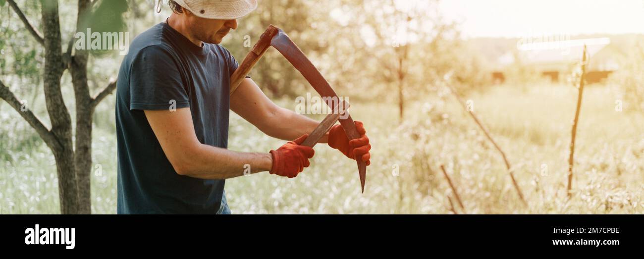 faucher l'herbe traditionnelle à l'ancienne avec des scythe à la main sur la ferme du village. un jeune agriculteur aiguise des scythe avec de l'herbe ou de la pierre à affûter pour Banque D'Images