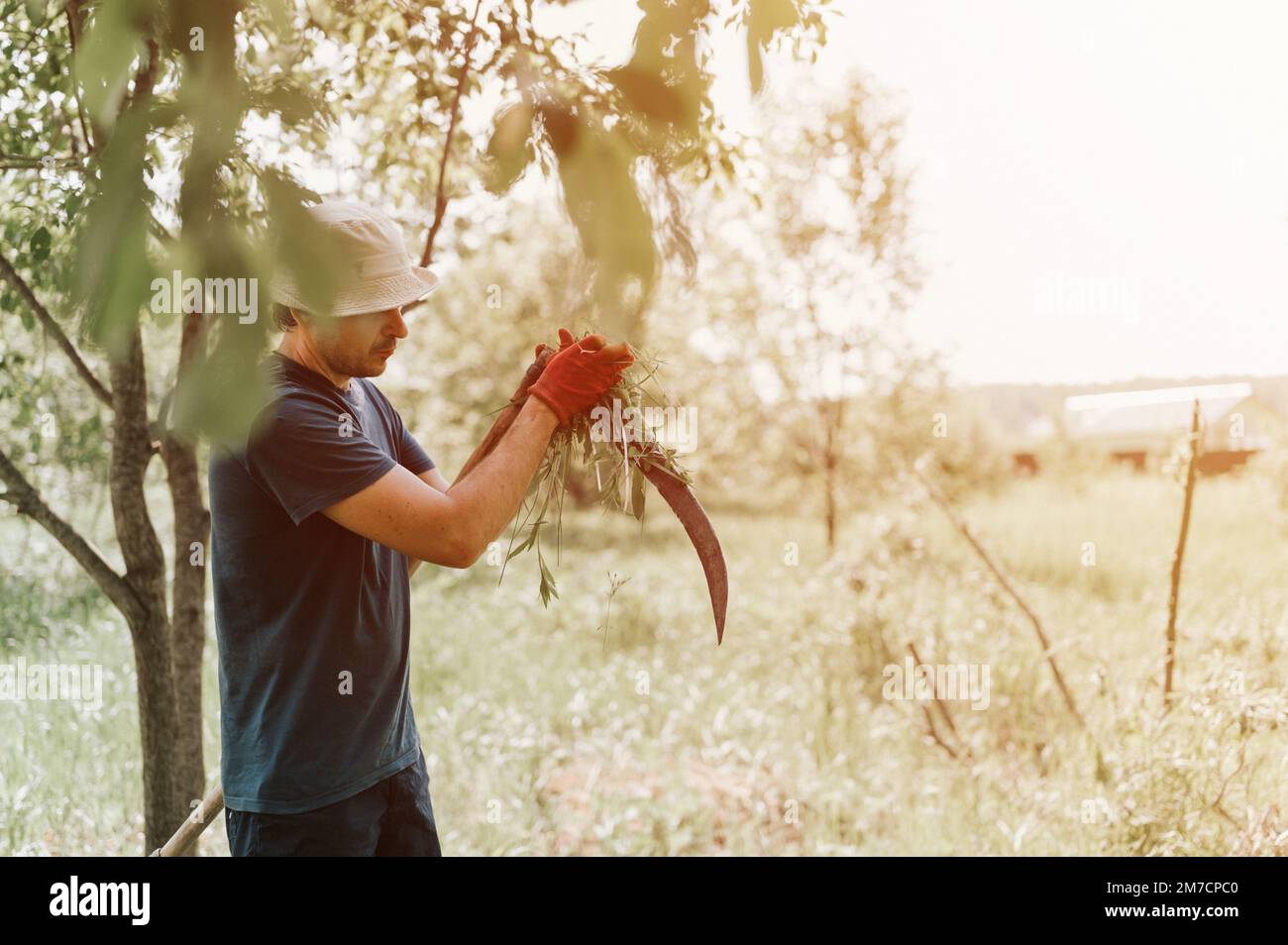 faucher l'herbe traditionnelle à l'ancienne avec des scythe à la main sur la ferme du village. jeune agriculteur mature, homme aiguisant le scythe avec de l'herbe ou de la baleine Banque D'Images
