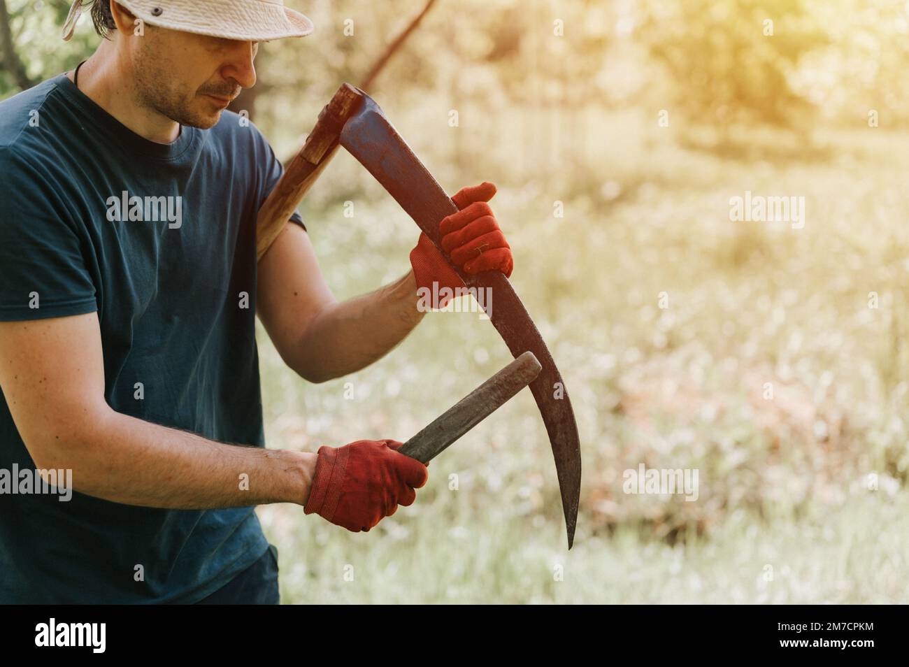 faucher l'herbe traditionnelle à l'ancienne avec des scythe à la main sur la ferme du village. jeune agriculteur mature, homme aiguisant le scythe avec de l'herbe ou de la baleine Banque D'Images