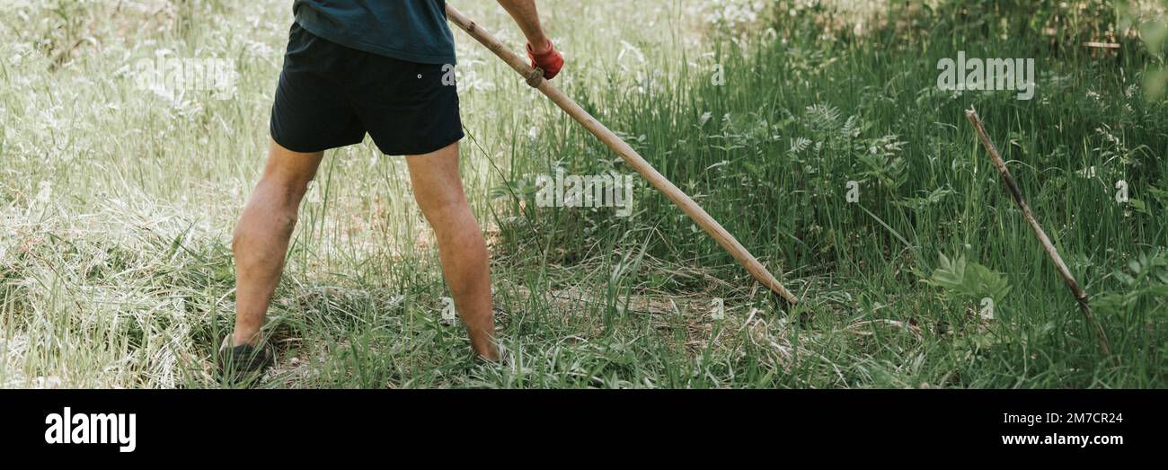 faucher l'herbe traditionnelle à l'ancienne avec la main scythe sur la ferme du village domestique. jeune agriculteur adulte fauchant le vert de l'herbe cultivée Banque D'Images