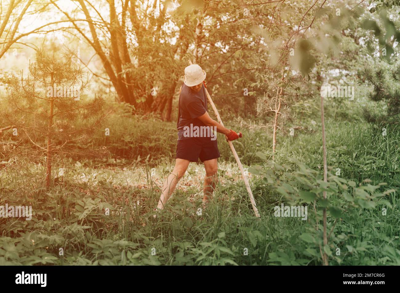 faucher l'herbe traditionnelle à l'ancienne avec la main scythe sur la ferme du village domestique. jeune agriculteur adulte fauchant le vert de l'herbe cultivée Banque D'Images