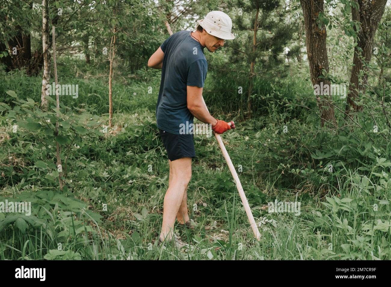 faucher l'herbe traditionnelle à l'ancienne avec la main scythe sur la ferme du village domestique. jeune agriculteur adulte fauchant le vert de l'herbe cultivée Banque D'Images
