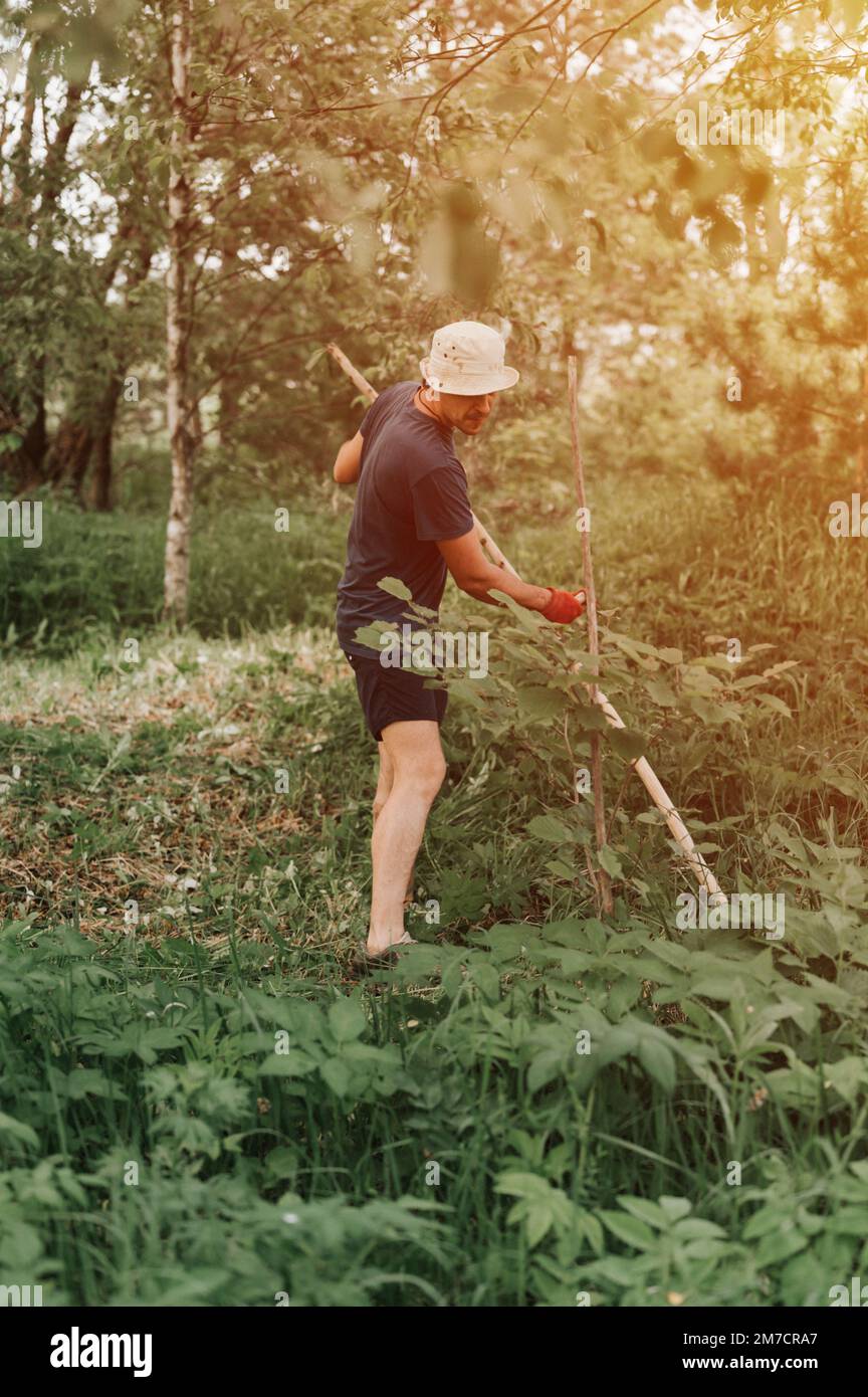 faucher l'herbe traditionnelle à l'ancienne avec la main scythe sur la ferme du village domestique. jeune agriculteur adulte fauchant le vert de l'herbe cultivée Banque D'Images