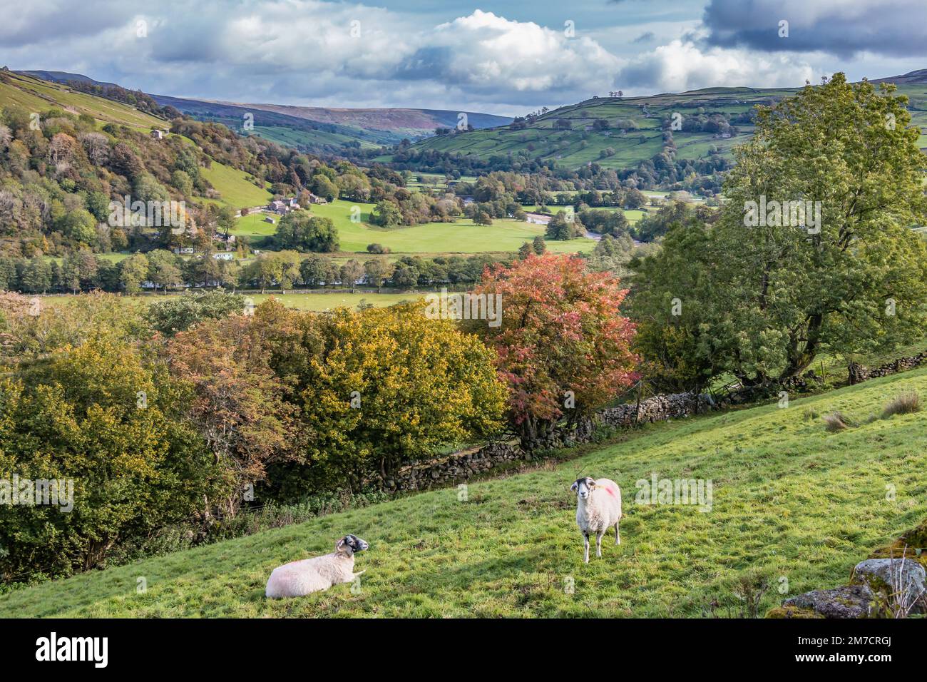 Vers Low Row, Swaledale Banque D'Images