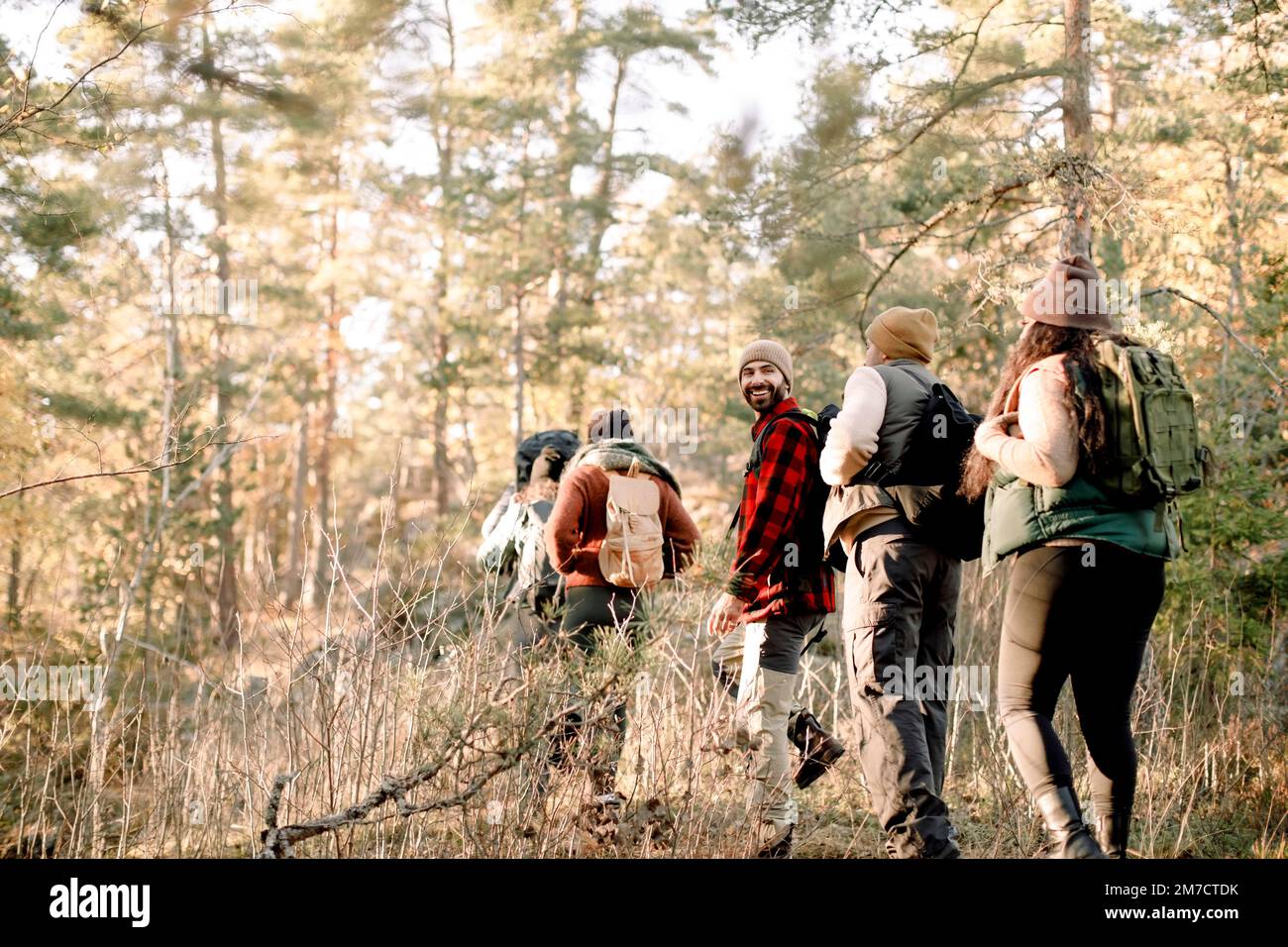 Des amis qui marchent dans les rangs tout en marchant ensemble dans la forêt Banque D'Images
