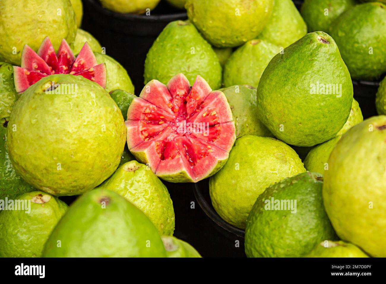 Goiania, Goiás, Brésil – 08 janvier 2023: Divers guavas exposés avec un peu coupé et arrangé pour être vendu à une foire. Banque D'Images