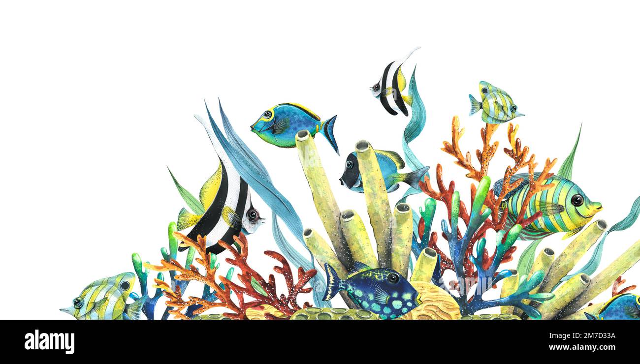 Éponges de mer, coraux, algues et poissons tropicaux, brillants. Illustration aquarelle. Composition de la collection de POISSONS TROPICAUX. Pour la décoration et Banque D'Images