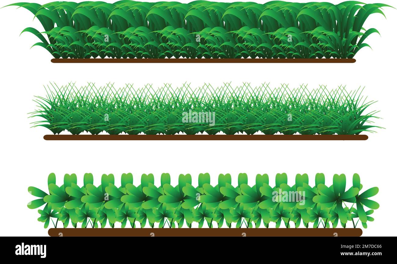 Herbe verte réaliste 3D plantes de printemps fraîches, différentes herbes et arbustes pour les affiches et les annonces vecteur ensemble objets isolés sur blanc. Illustration de Vecteur