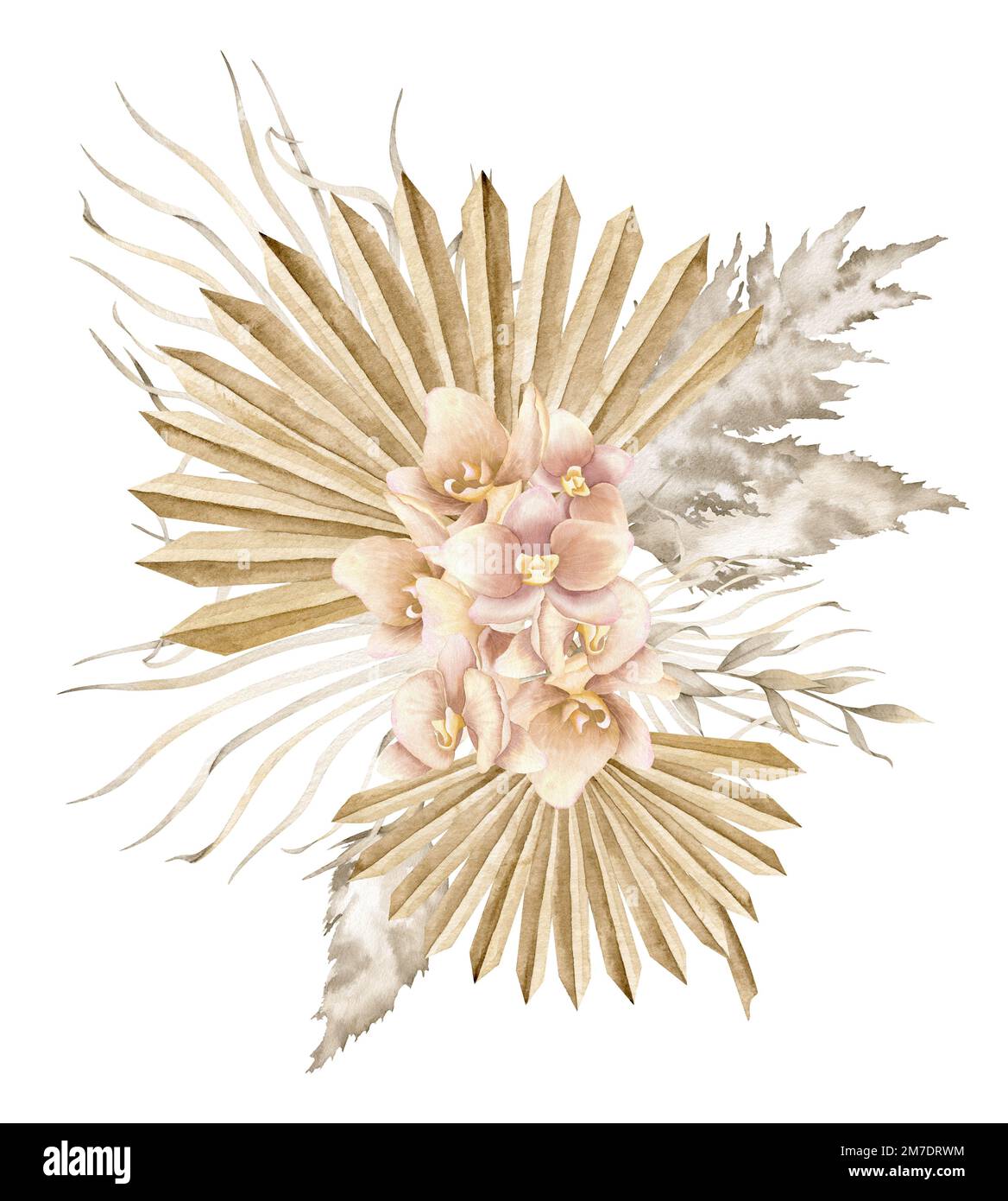 Bouquet d'aquarelles de fleurs tropicales exotiques de style boho. Illustration dessinée à la main avec des feuilles de palmier séchées, des orchidées et de l'herbe de pampas. Dessin isolé pour les invitations de mariage ou les cartes de vœux. Banque D'Images