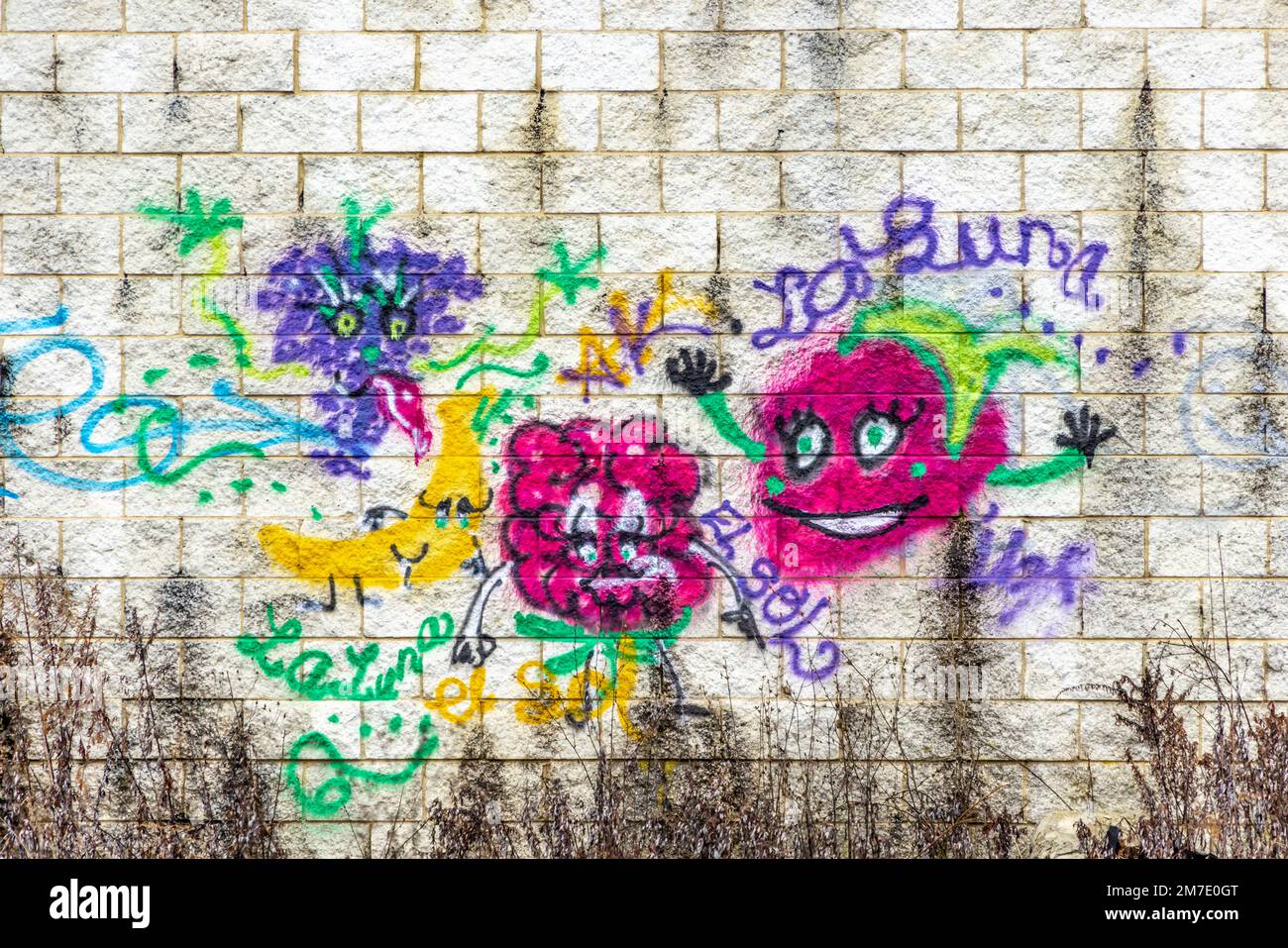 graffiti sur le côté d'un ancien bâtiment de vente au détail à Fishkill, NY Banque D'Images