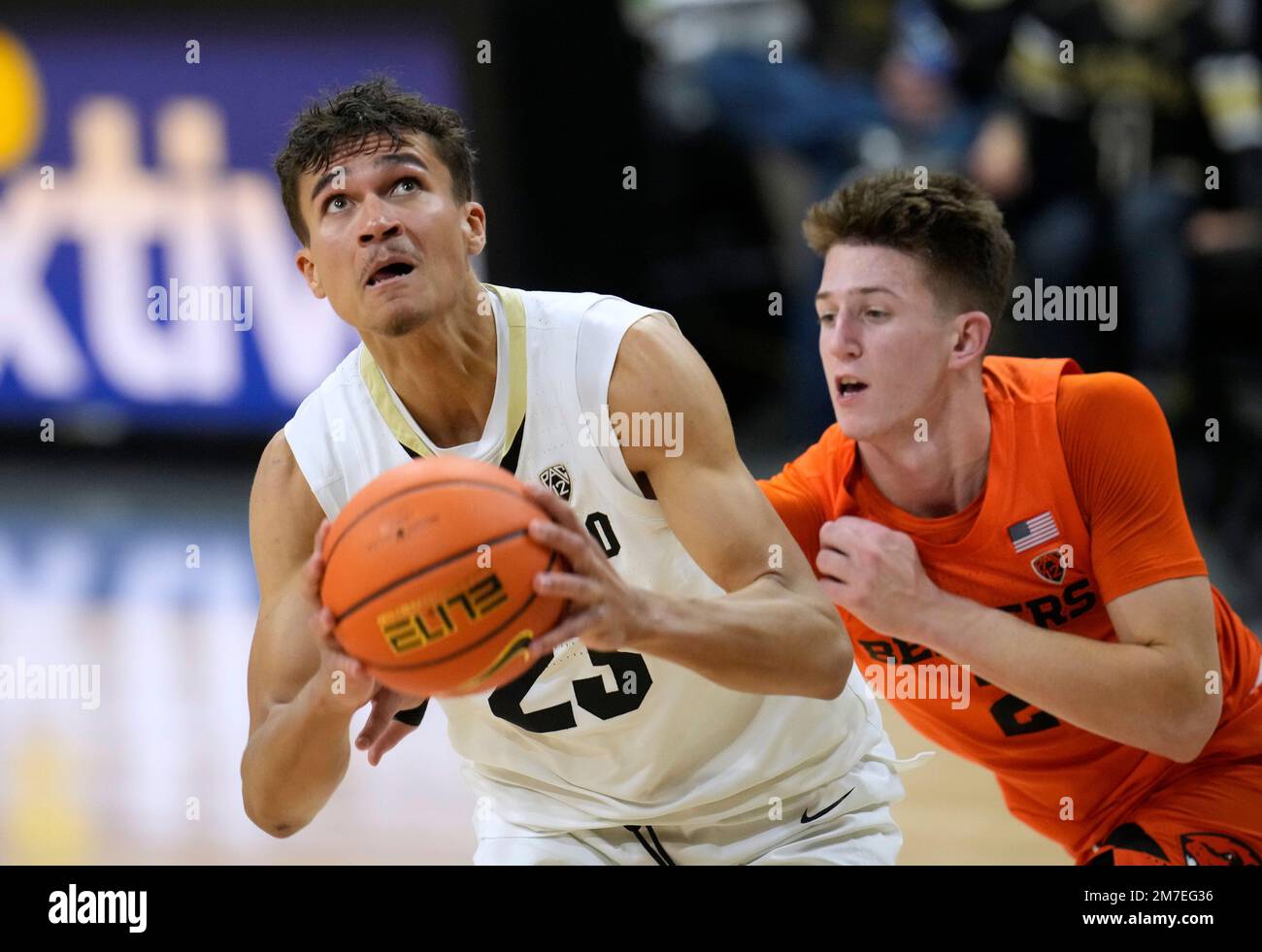 Colorado forward Tristan da Silva, left, eyes the basket as Oregon