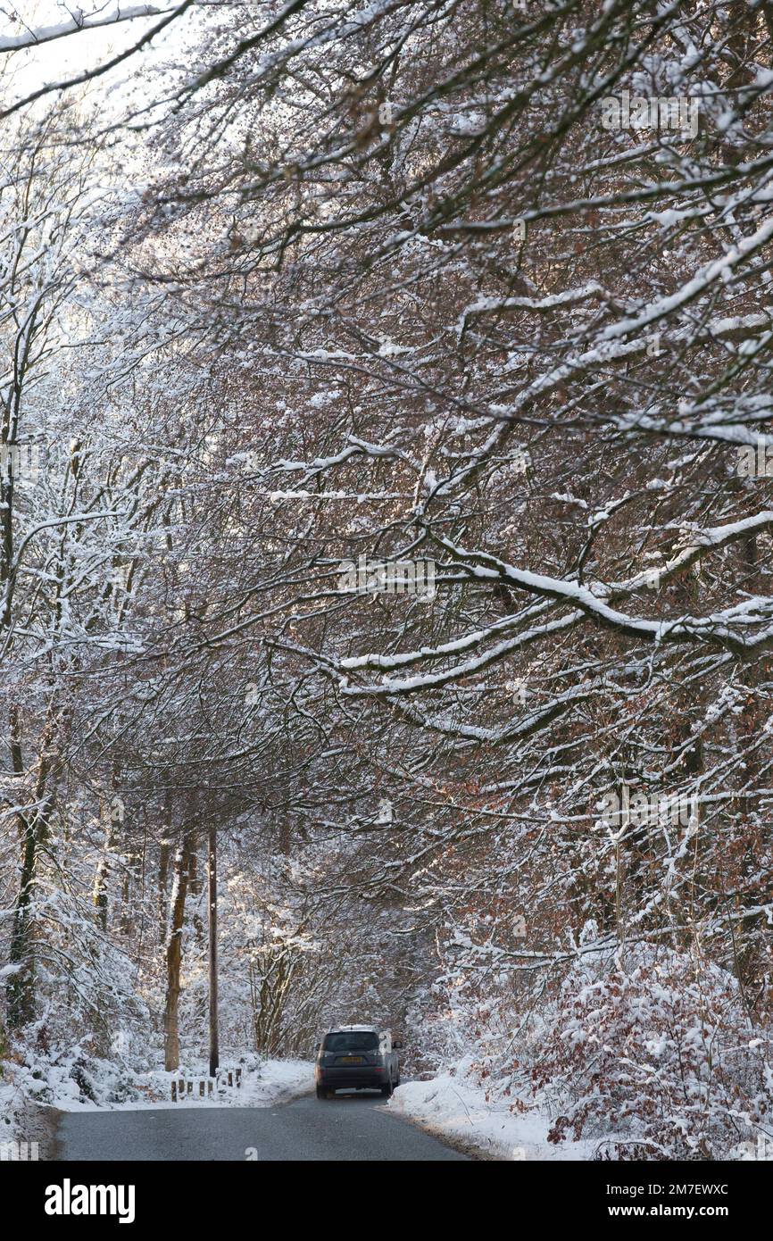 Une voiture qui disparaît sur une route dans une forêt couverte d'anow. Banque D'Images