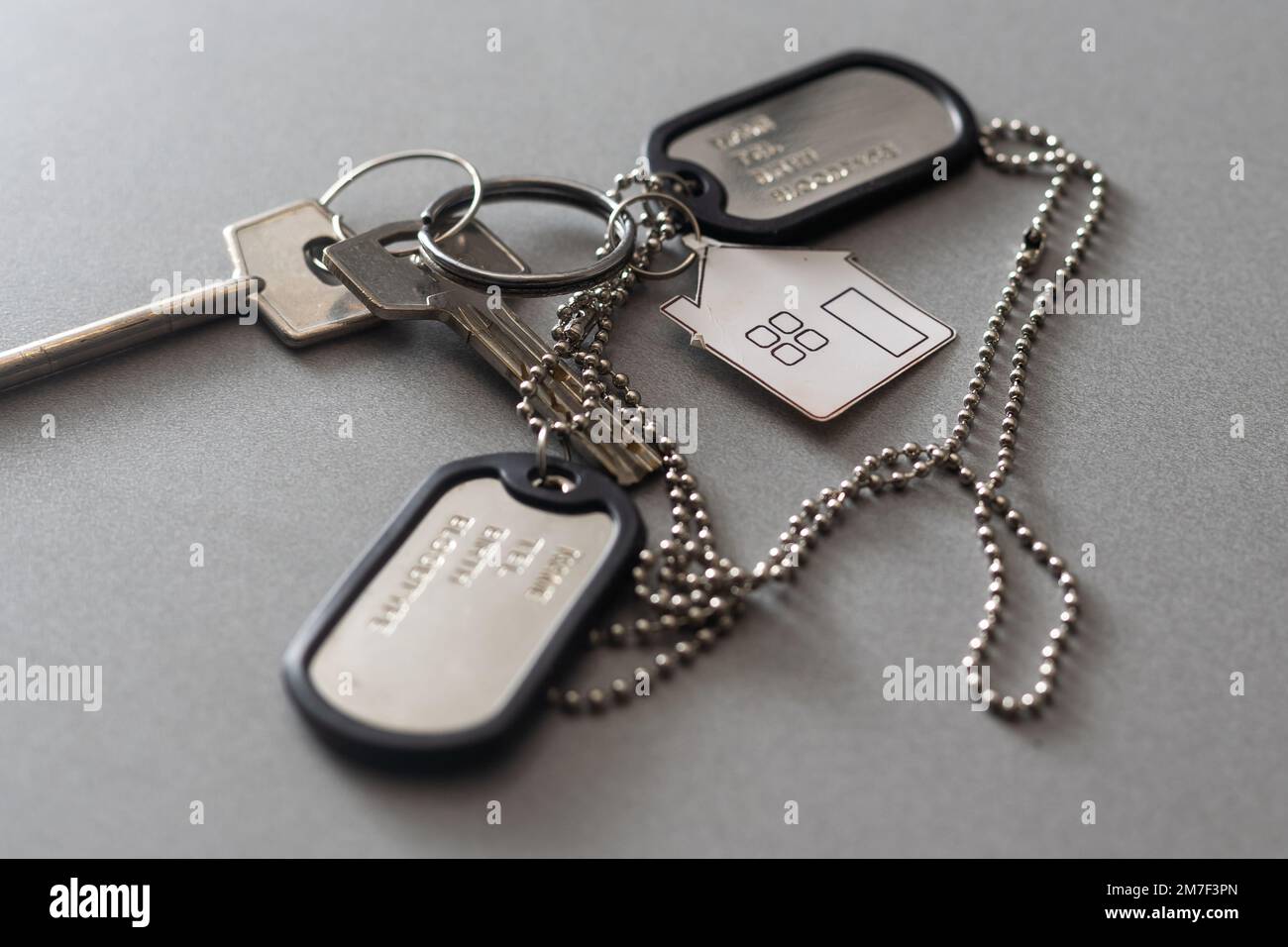 Étiquettes pour chien d'argent militaire sur un petit porte-clés isolé sur fond blanc Banque D'Images