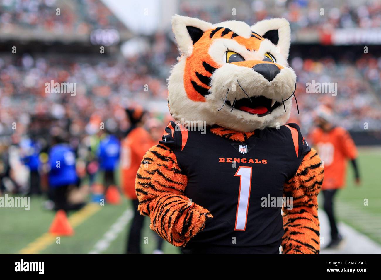 Cincinnati mascot Who Dey is seen on the field prior to an NFL football