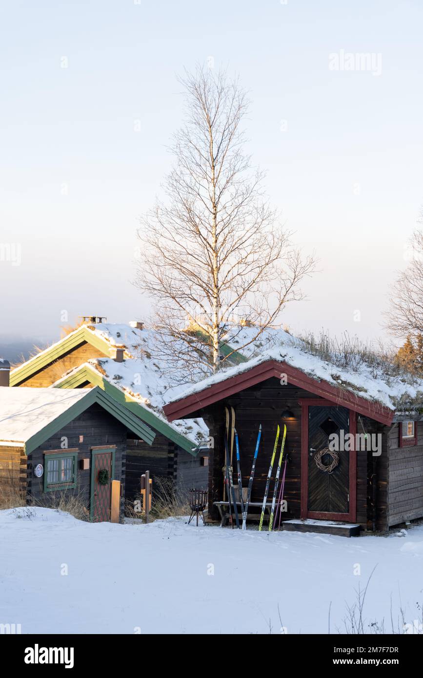 Belles petites maisons de montagne en bois, huttes entourées de forêt par une belle journée d'hiver. Station de ski en Suède, Funasdalen couverte de neige Banque D'Images