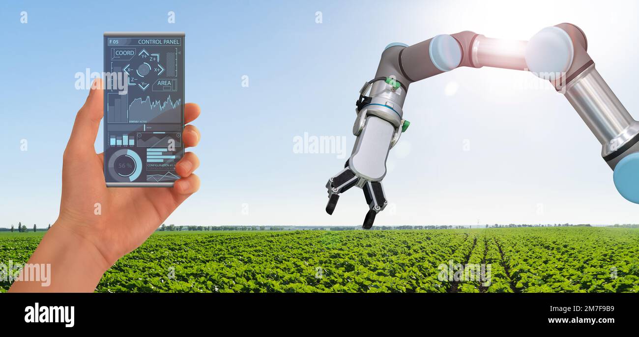 Un agriculteur contrôle un robot agricole via une application mobile de smartphone. Agriculture intelligente et agriculture numérique 4.0 Banque D'Images