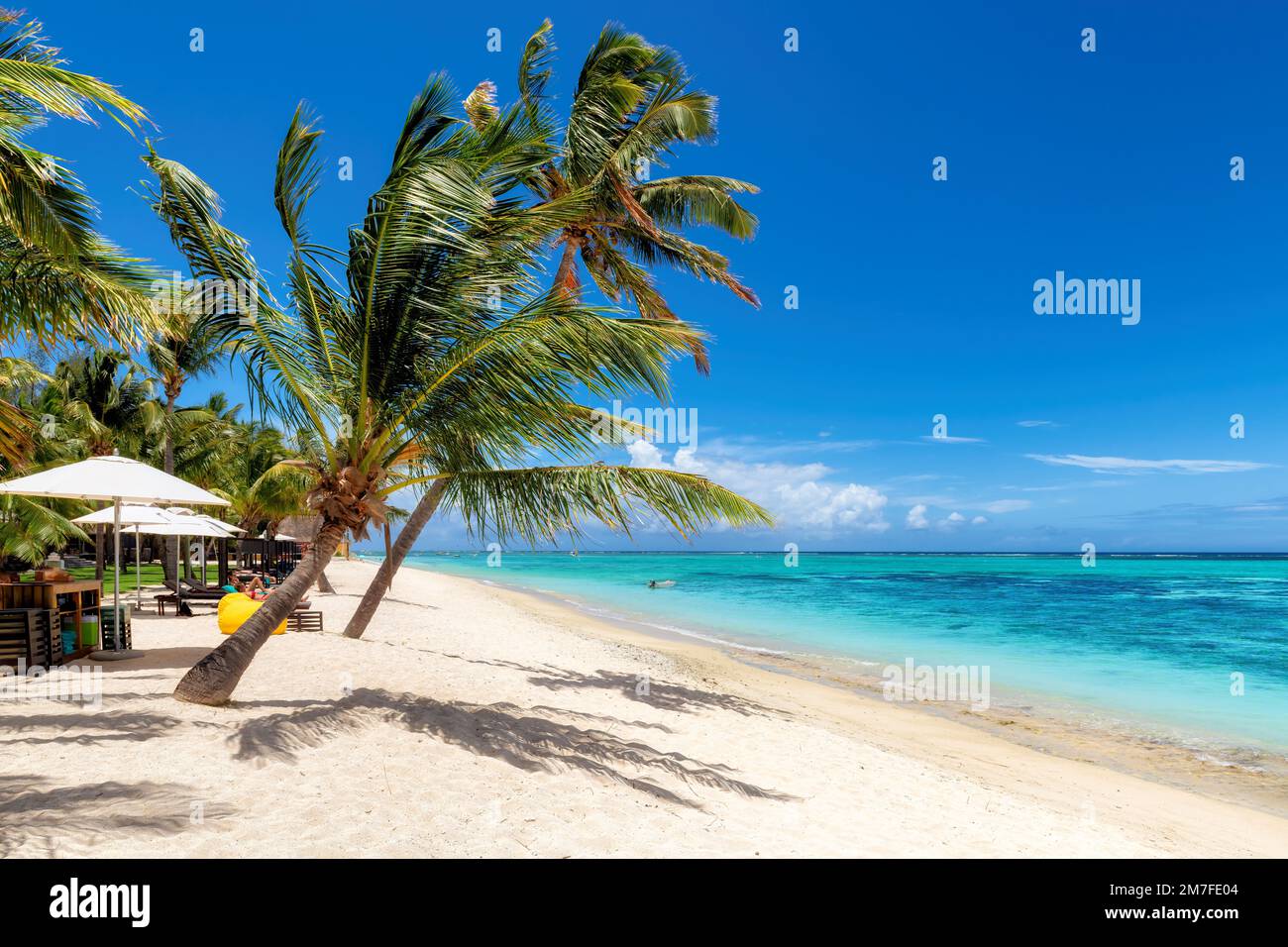 Palmiers sur la plage Paradise dans un complexe tropical sur l'île Maurice. Banque D'Images