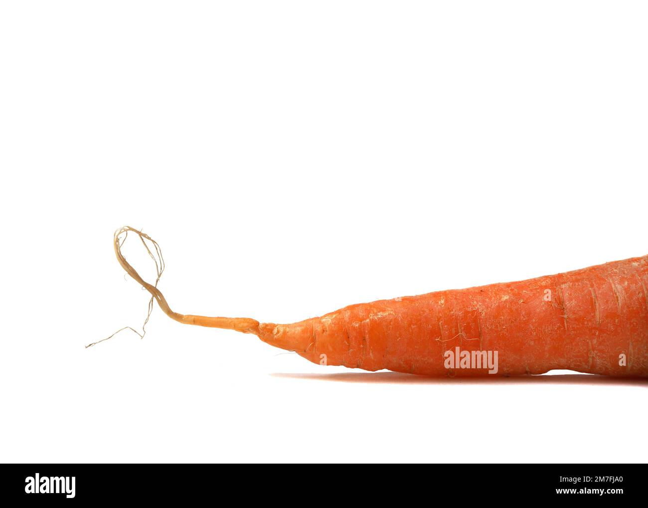 Moitié de carotte isolée sur fond blanc. Banque D'Images