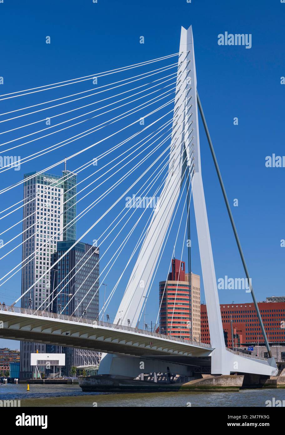 Hollande, Rotterdam, vue depuis le dessous de l'Eramusbrug ou du pont Erasmus sur la rivière Nieuwe Maas avec le Maastoren qui est le deuxième plus haut bâtiment de Hollande en arrière-plan. Banque D'Images