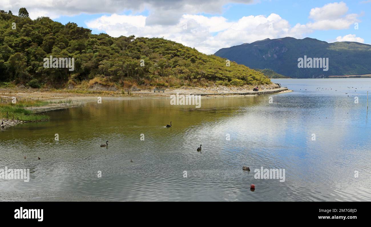Sur le lac Rotomahana - Nouvelle-Zélande Banque D'Images