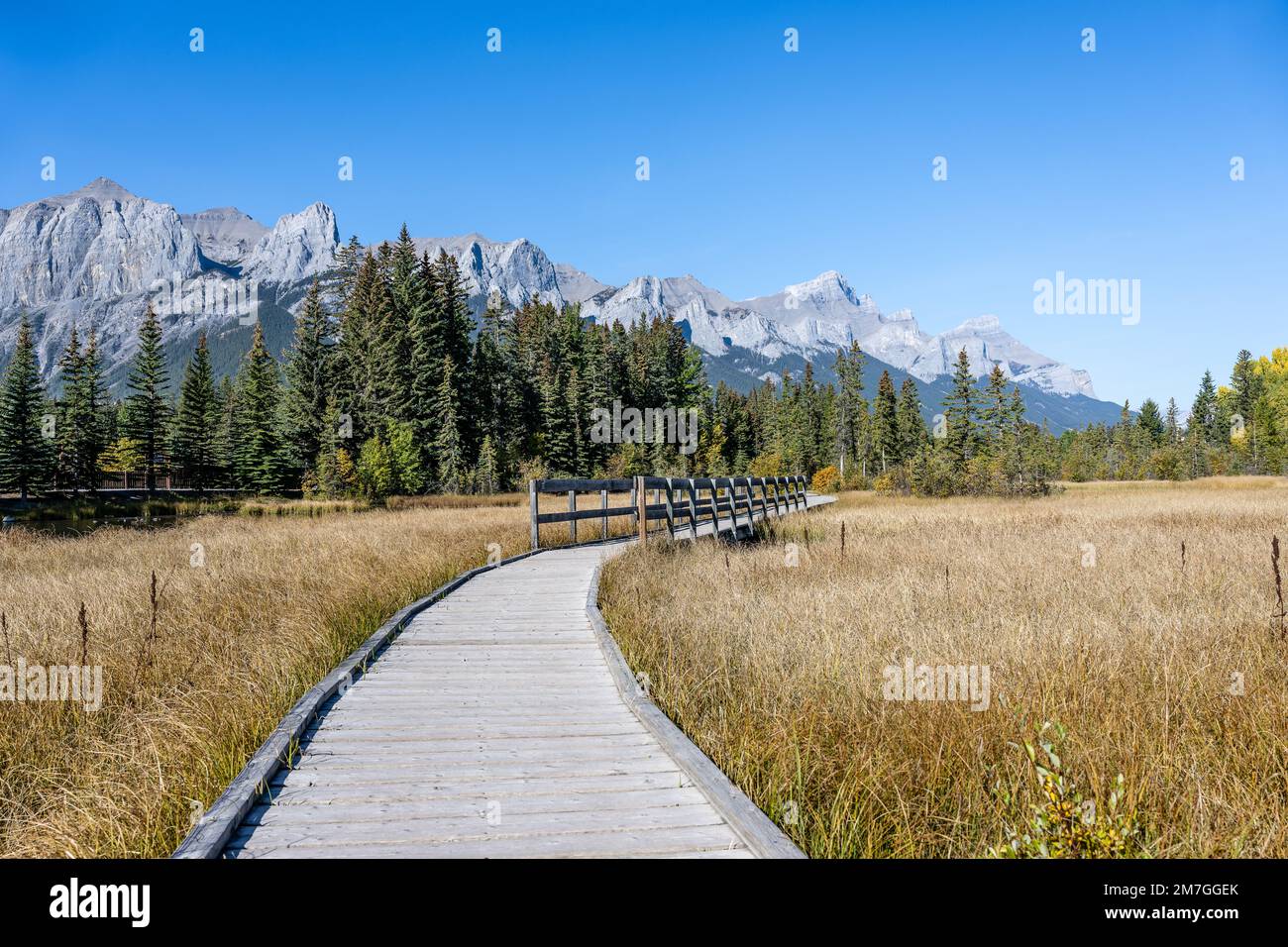 Vue sur une promenade le long de policeman's Creek à Canmore, en Alberta Banque D'Images