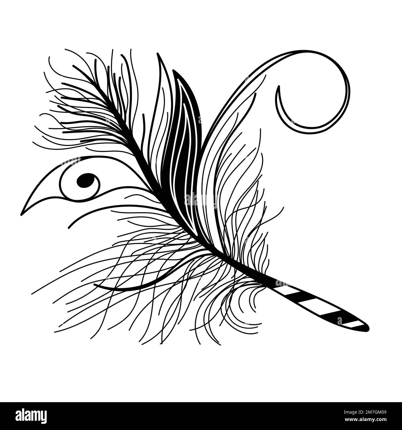 plumes décoratives vectorielles. plume noire et blanche Illustration de Vecteur