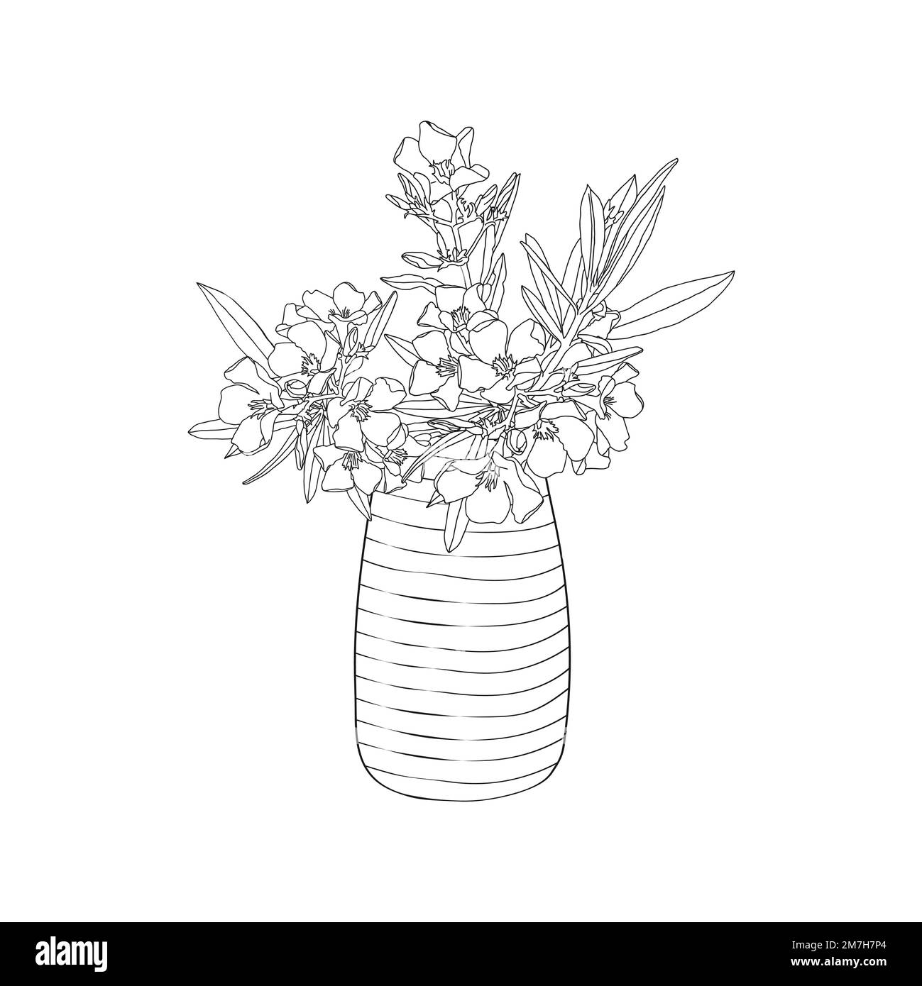 Bouquet d'Oleander (fleur) dans un vase. Vecteur de dessin à la main pour colorier la page Illustration de Vecteur