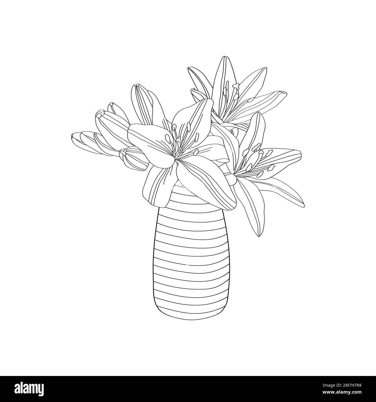 Bouquet d'orchidées dans un vase. Vecteur de dessin à la main pour la page de coloriage mots-clés langage: Engli Illustration de Vecteur