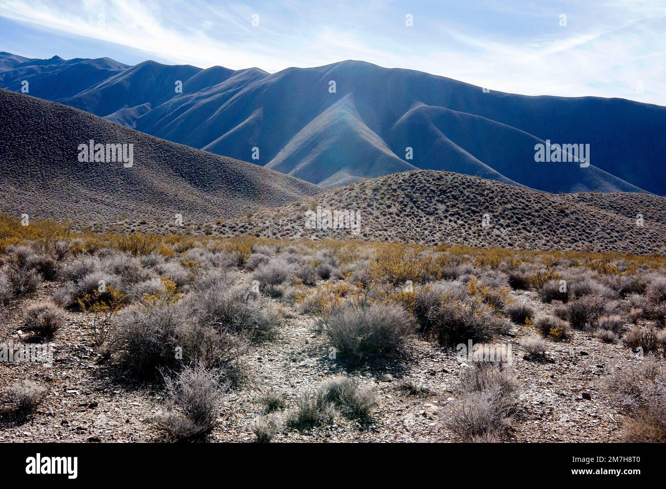 Paysage désertique avec collines, Vallée de la mort, Californie, Etats-Unis Banque D'Images