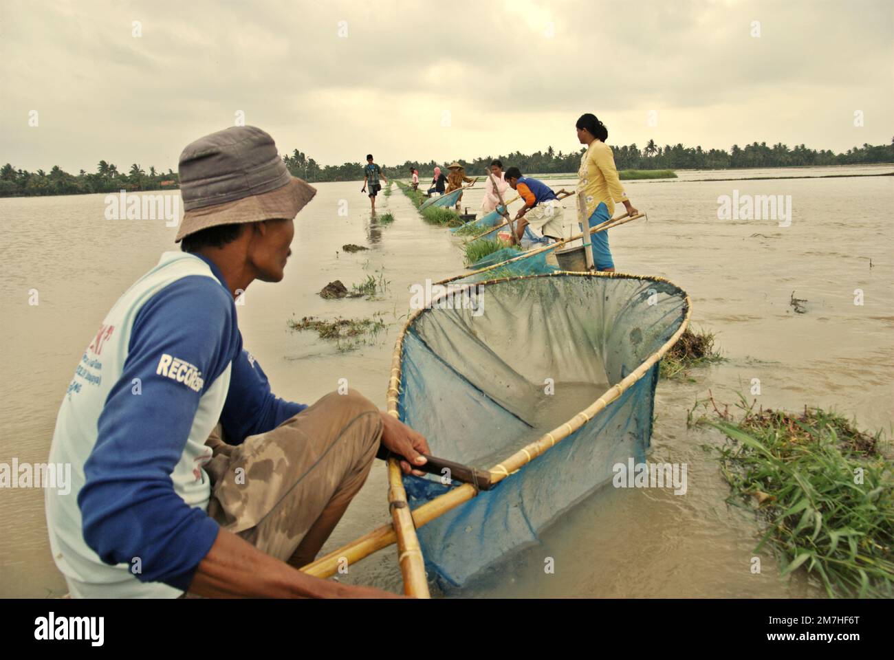 Les personnes pêchant sur un champ de riz inondé avec des pushnets pendant la saison des pluies qui ont causé des inondations à Karawang regency, province de Java Ouest, Indonésie. Banque D'Images