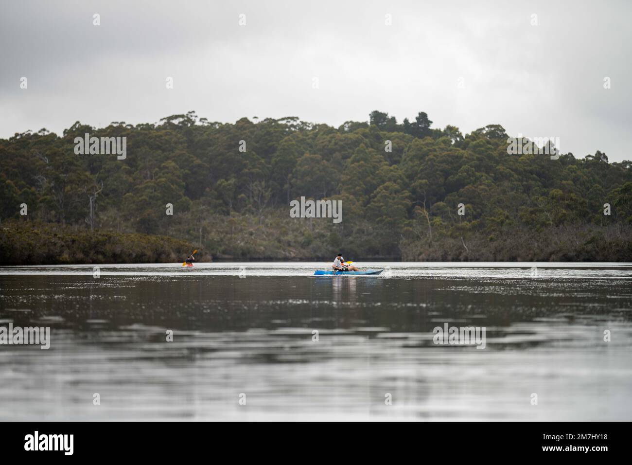 Kayak sur la rivière au coucher du soleil en été en Australie Banque D'Images