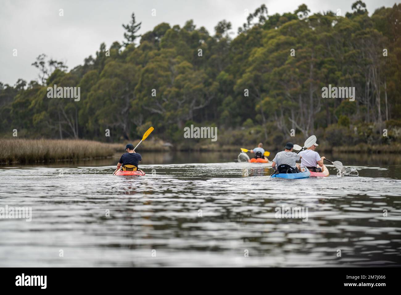 Kayak sur la rivière au coucher du soleil en été en Australie Banque D'Images