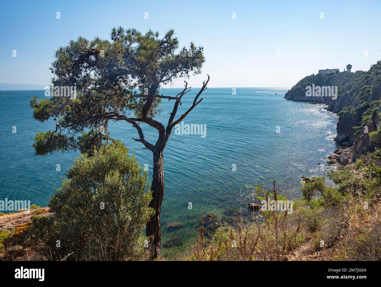 Belle vue panoramique sur la mer Noire, et la côte rocheuse avec des arbres et des pins par une belle journée d'été. Turquie, Îles-du-Prince. Banque D'Images