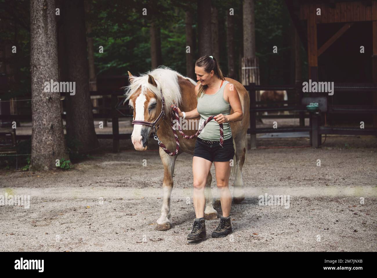 Femme entraîneur prenant soin de son cheval, l'emportant dehors pour un tour Banque D'Images