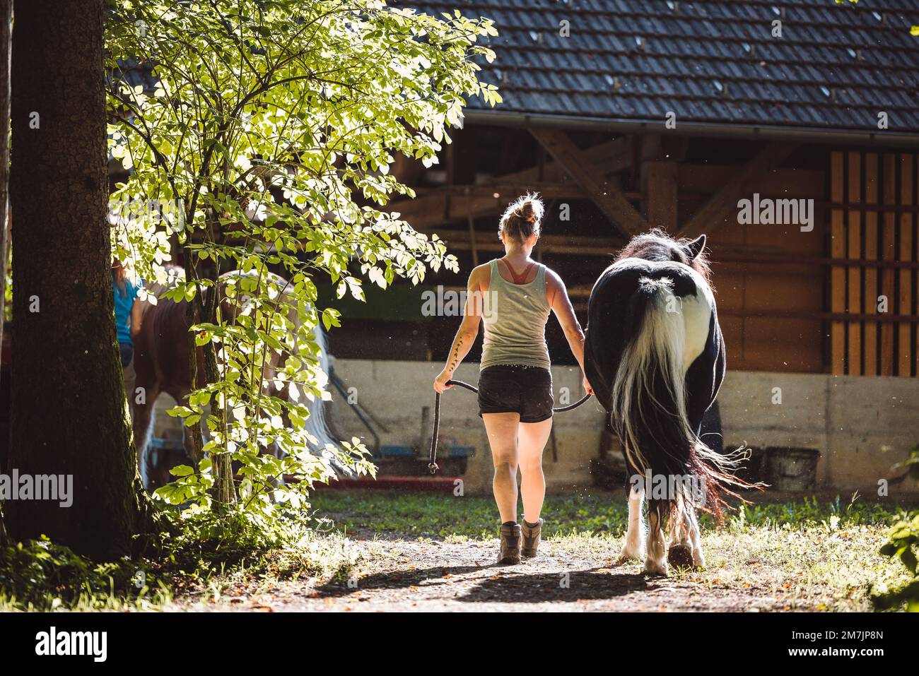 Vue de l'arrière femme entraîneur marchant avec un cheval noir, l'emportant aux écuries Banque D'Images