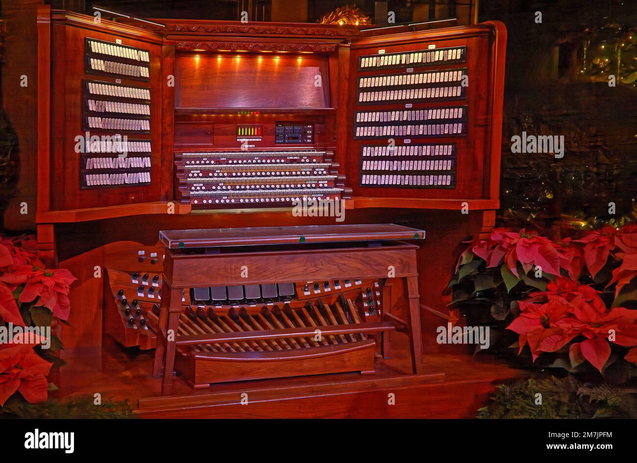 orgue, console, banc, bois, 4 claviers, manuels, pédales, pédales d'expression, butées, instruments de musique, Poinsettias rouges, éclairage doux, Christma Banque D'Images