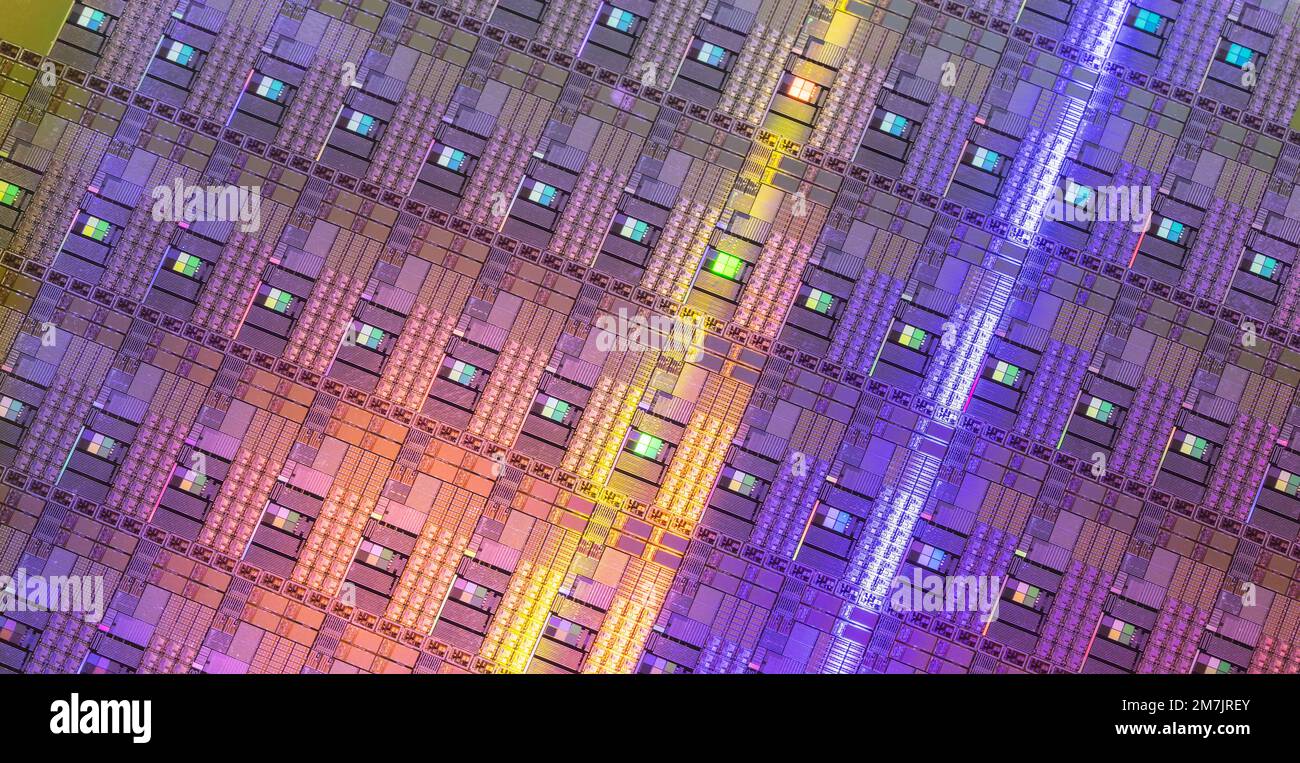 Plaquettes de silicium et microcircuits, tranche de matériau semi-conducteur, utilisés dans l'électronique pour la fabrication de circuits intégrés. Banque D'Images