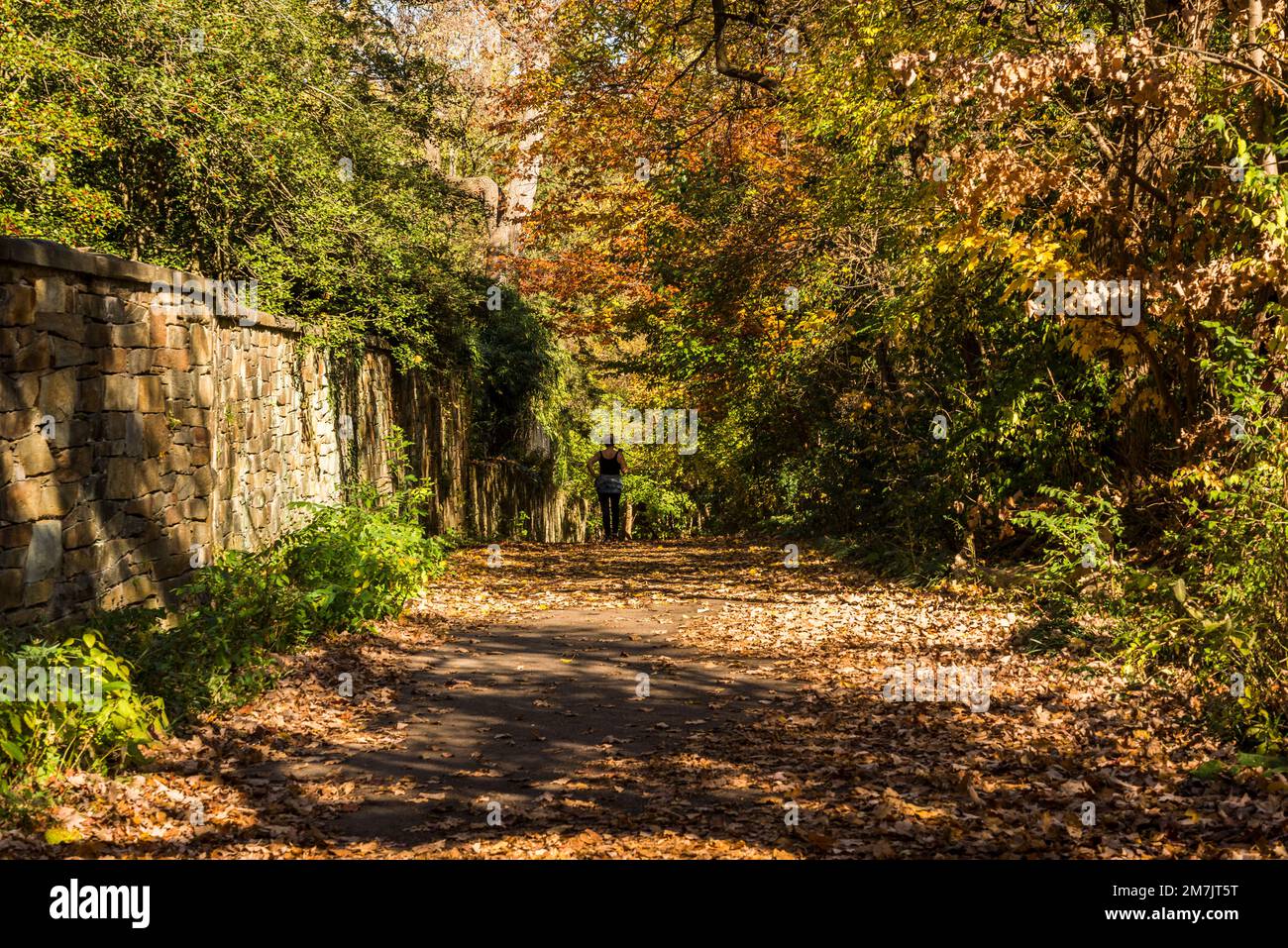 Dumbarton Oaks Park, Georgetown, un quartier historique, et un quartier commercial et de divertissement, Washington, D.C., États-Unis Banque D'Images