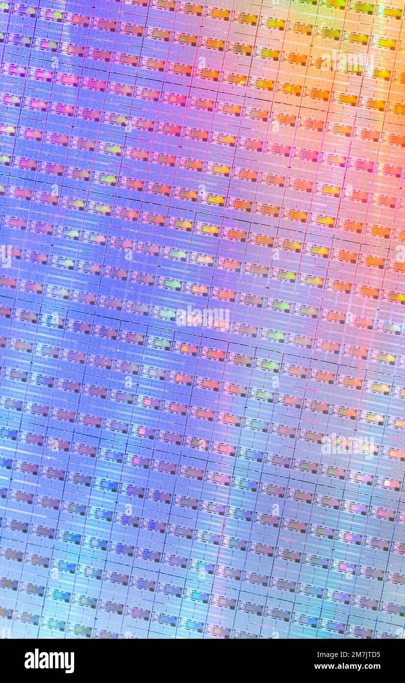 Plaquettes de silicium et microcircuits, tranche de matériau semi-conducteur, utilisés dans l'électronique pour la fabrication de circuits intégrés. Banque D'Images