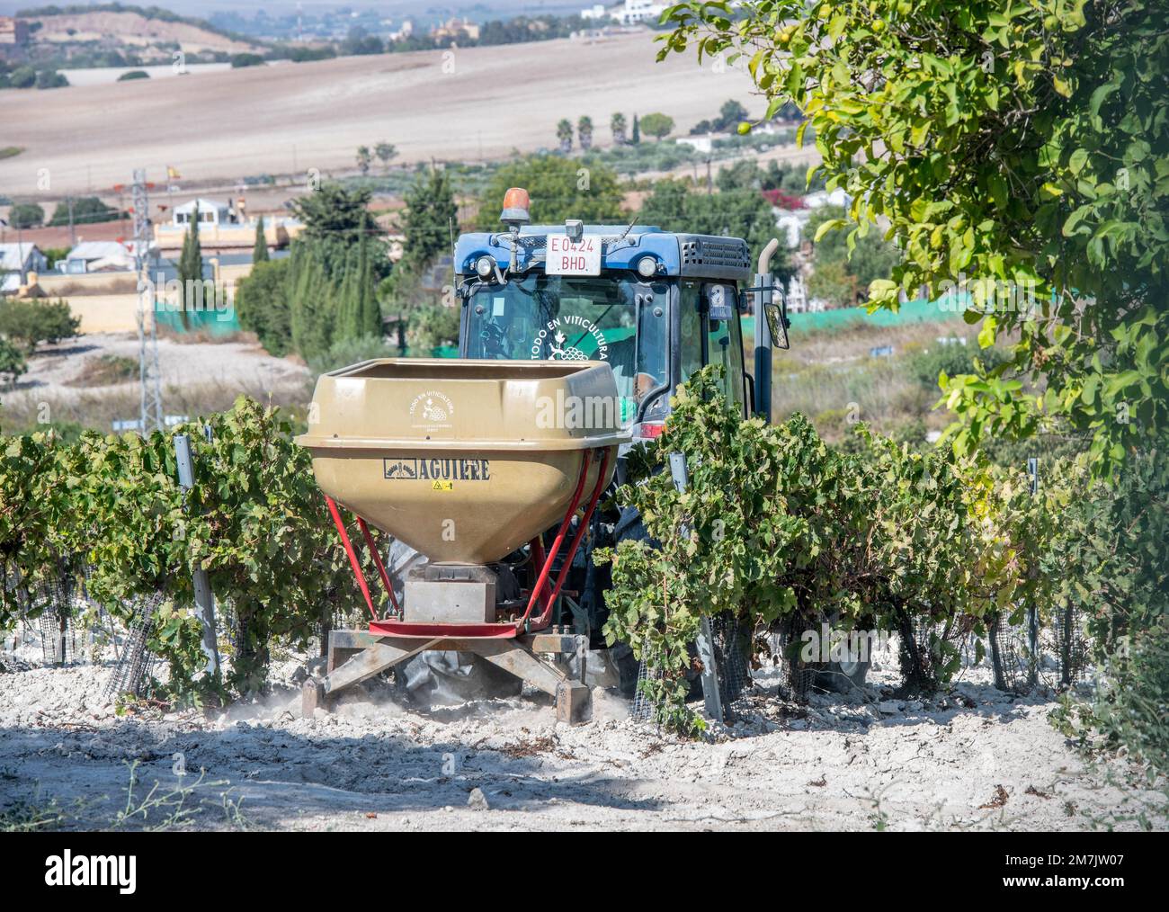 Tracteur tirant des équipements de labour entre les rangées de vignes du vignoble pour le sherry, Jerez de la Frontera, Espagne Banque D'Images