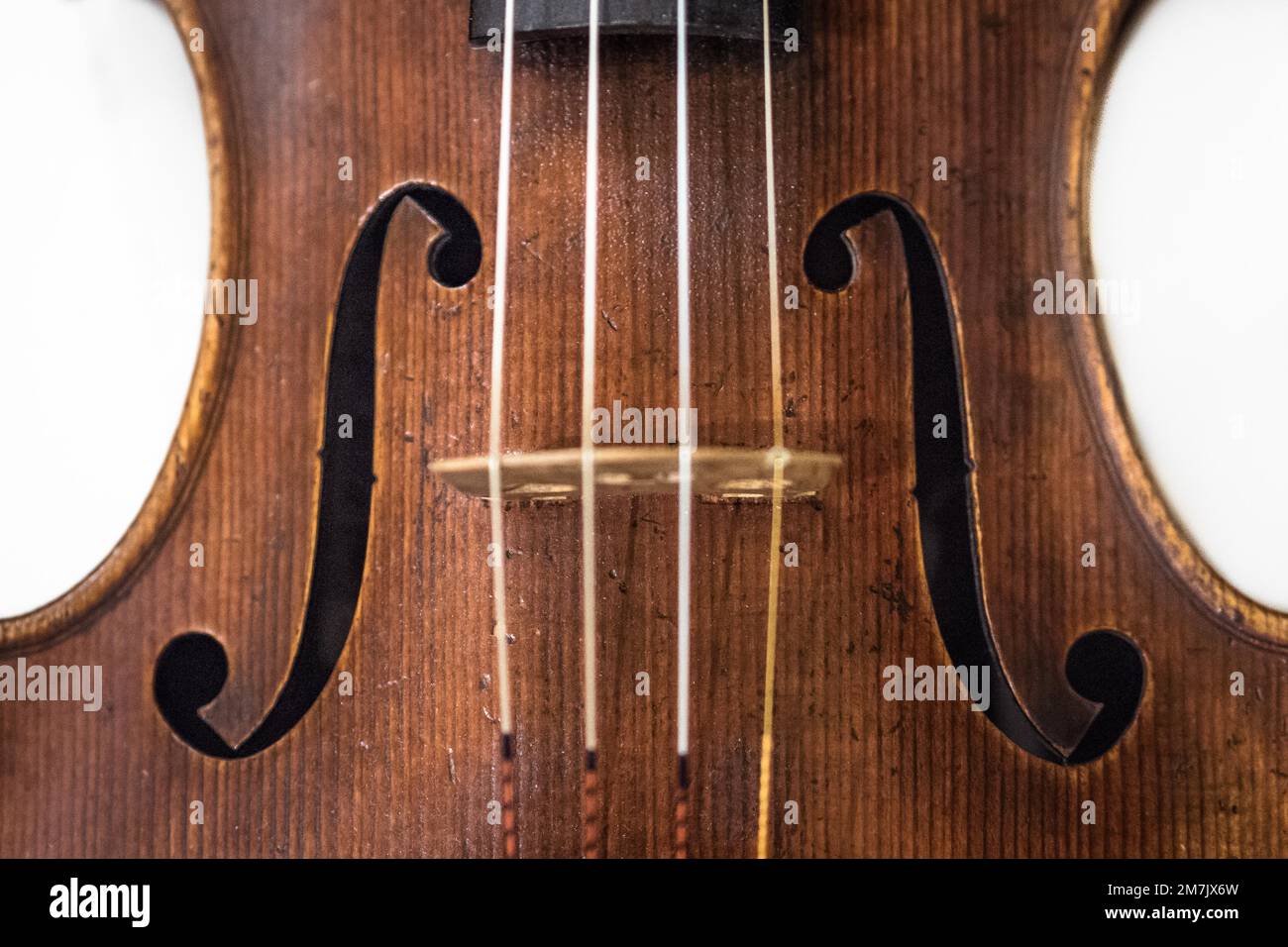 Un violon moderne gros plan de cordes, Bridge et Strad style F-trous. Banque D'Images