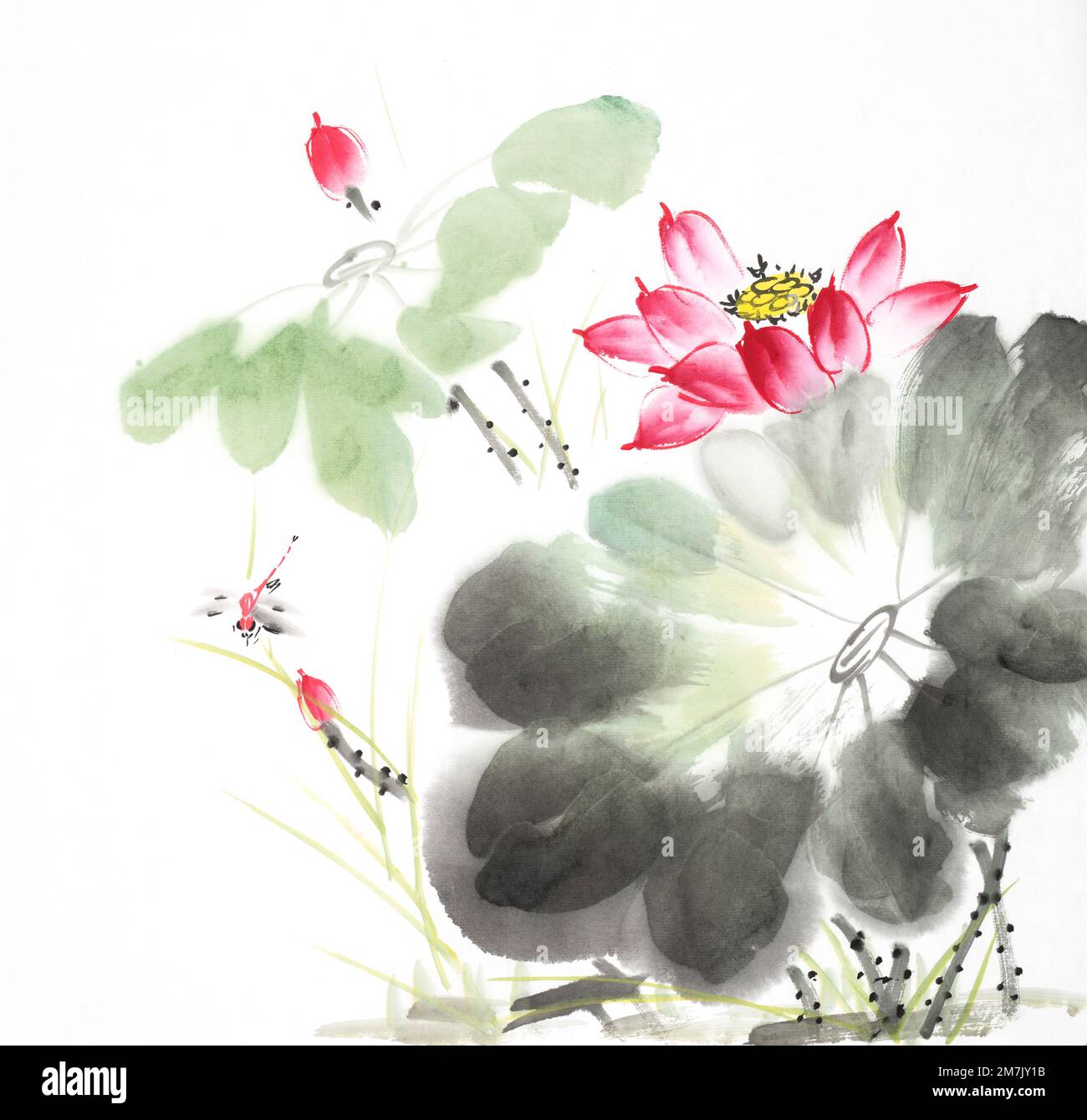 Peinture chinoise d'un Lotus avec libellule Banque D'Images