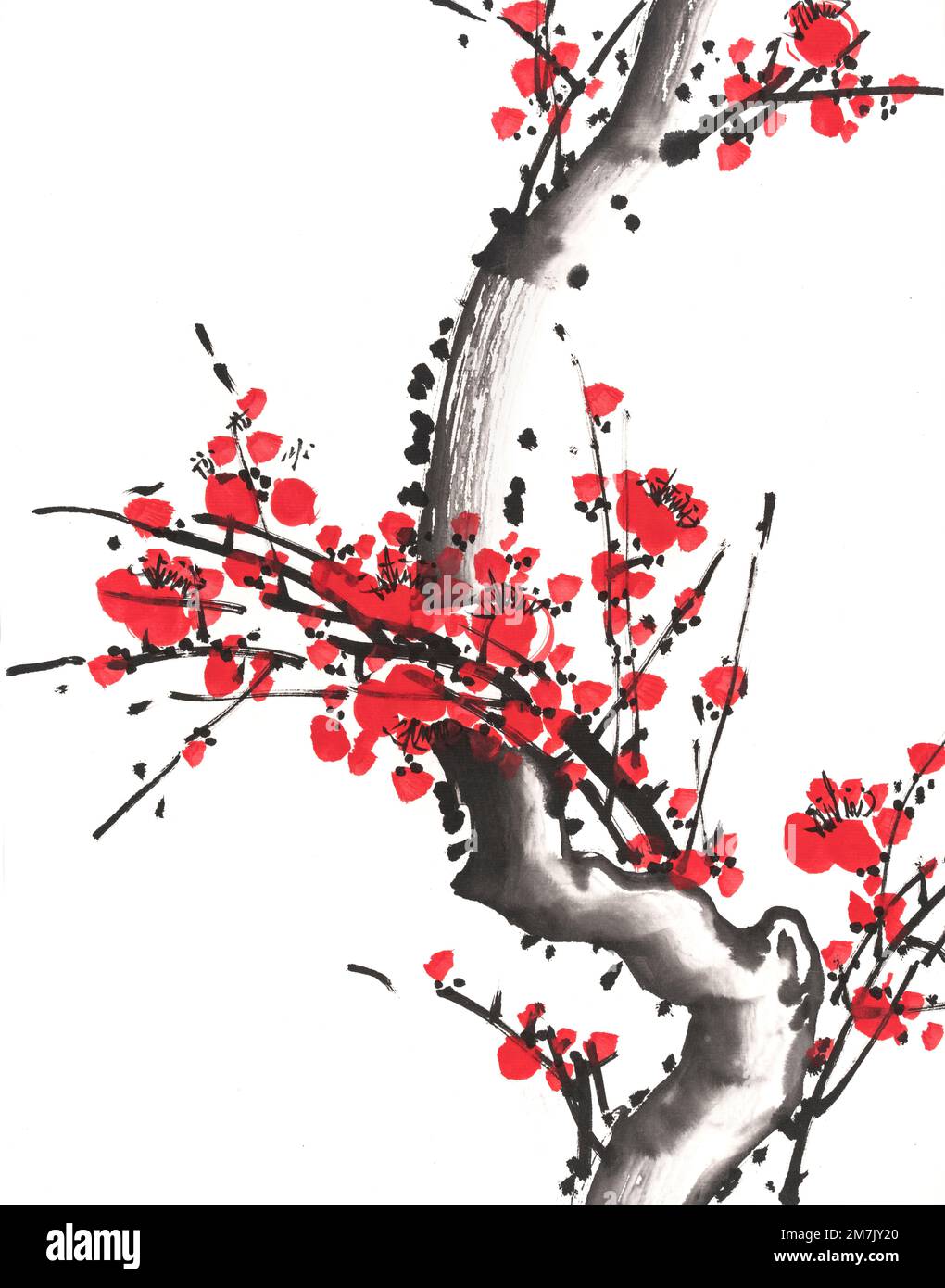 peinture chinoise traditionnelle de fleurs, fleur de prune sur fond blanc. Banque D'Images