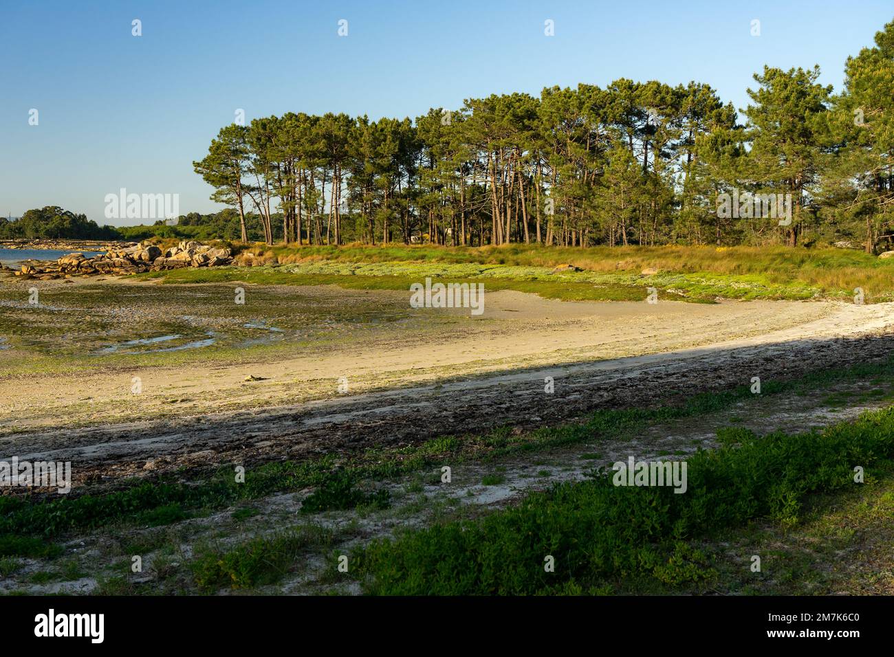 Plage au coucher du soleil dans le parc naturel de Carreirón dans l'île d'Arousa avec la pinède Banque D'Images