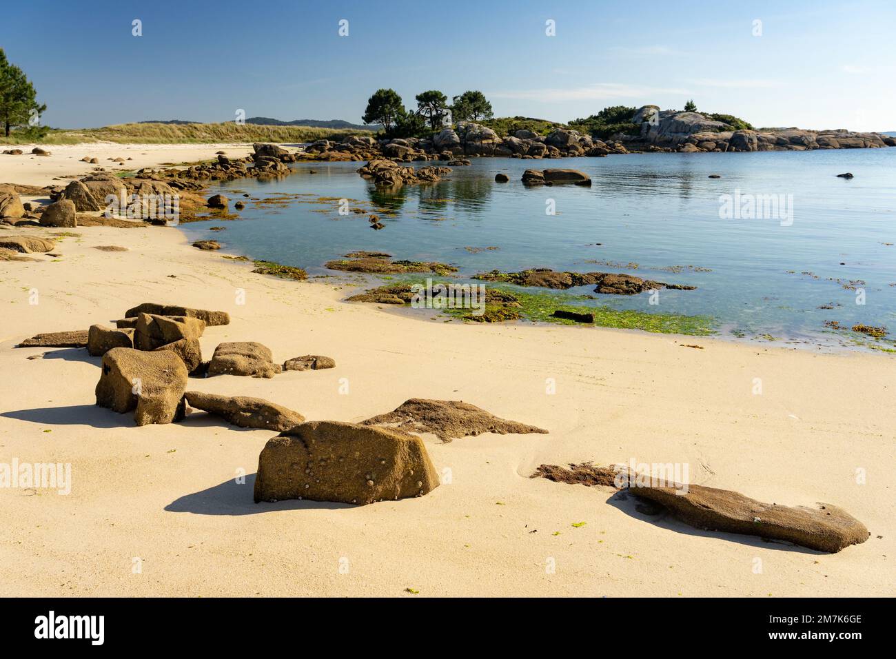 Plage au coucher du soleil dans le parc naturel de Carreirón dans l'île d'Arousa avec la pinède Banque D'Images