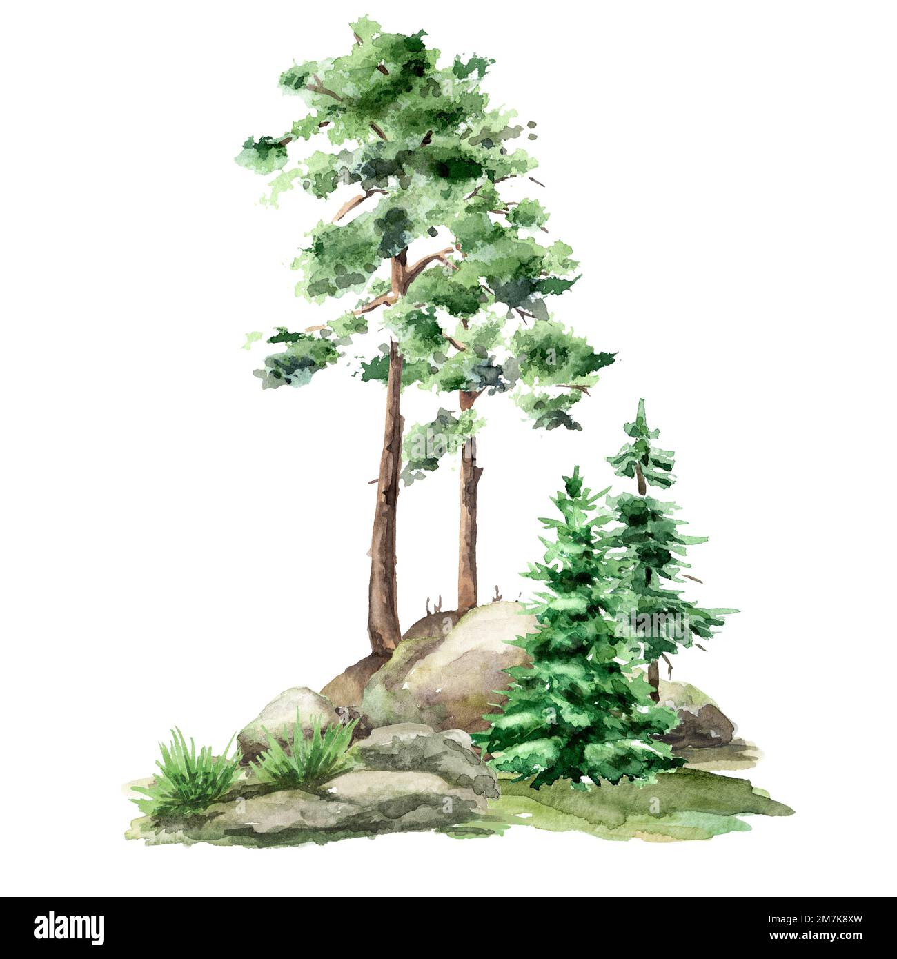 Paysage forestier avec rochers et arbres. Illustration aquarelle dessinée à la main isolée sur fond blanc Banque D'Images